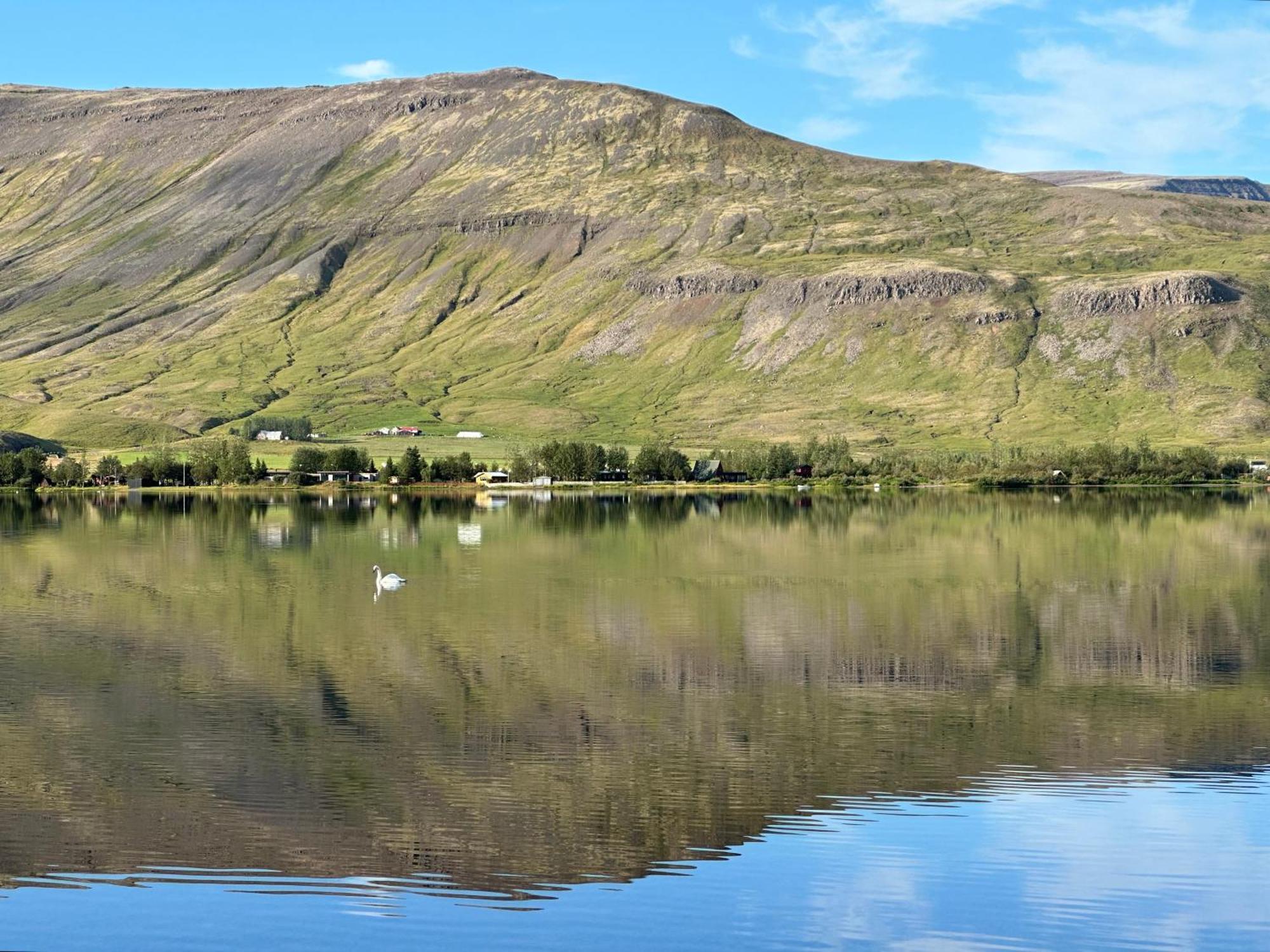 Cosy Lakeview Cabin 45 Minutes From Reykjavik モスフェットルスバイル エクステリア 写真